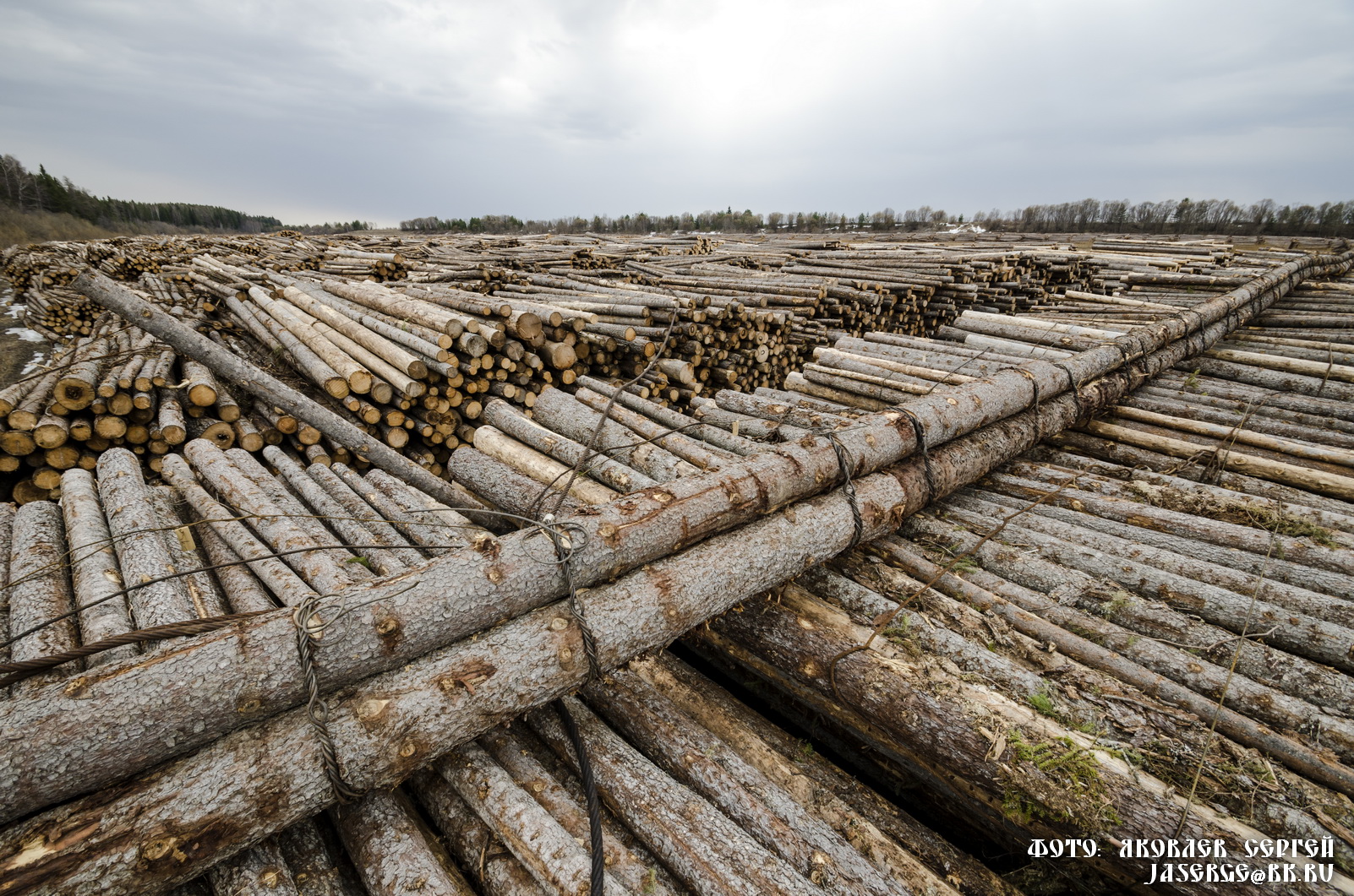 Северная Двина сплав леса